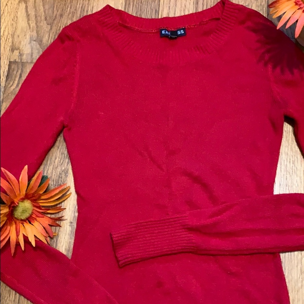 Express Red Sweater - Picture 2 of 10